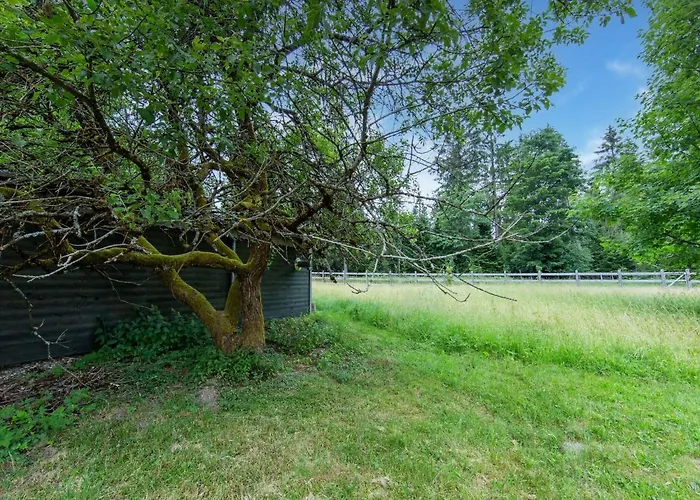 Thuringian Forest House Eisfeld