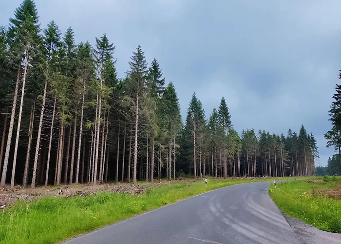 Thuringian Forest House *