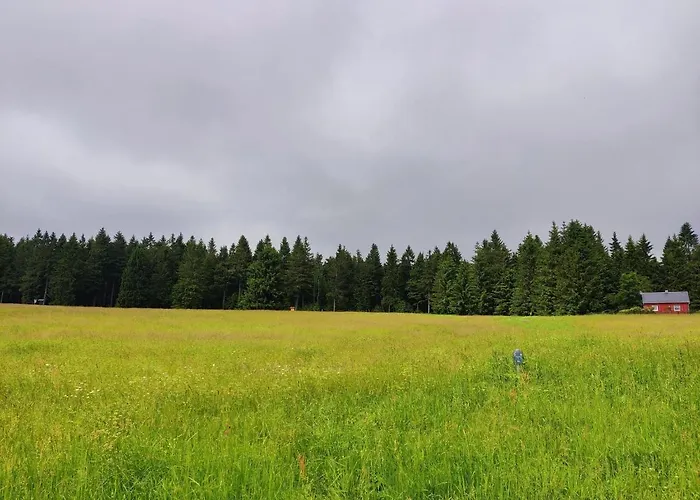 Thuringian Forest House Vakantiehuis Eisfeld